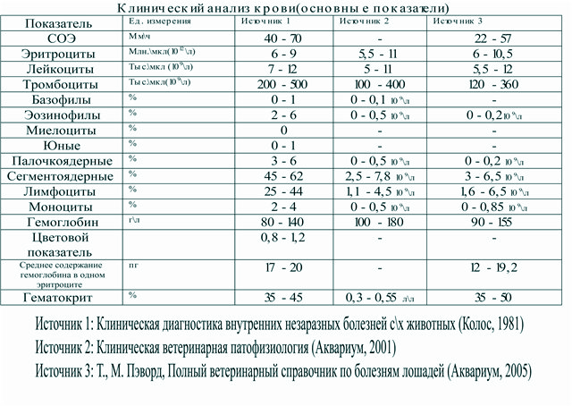 Общий анализ крови